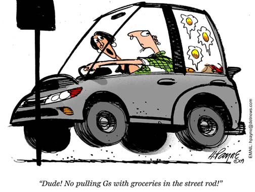 1208CARtoonGroceries