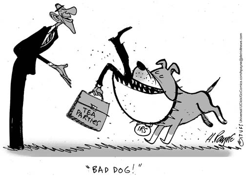 051713_IRSBadDog_UFSGRAY